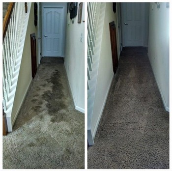 Before and After Carpet Cleaning