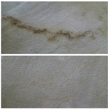 Before and After Carpet Cleaning
